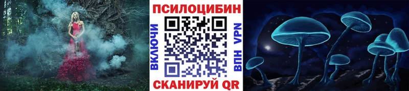 Псилоцибиновые грибы GOLDEN TEACHER Новомичуринск